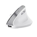 BAYO II ERGONOMIC WIRELESS MOUSE WH