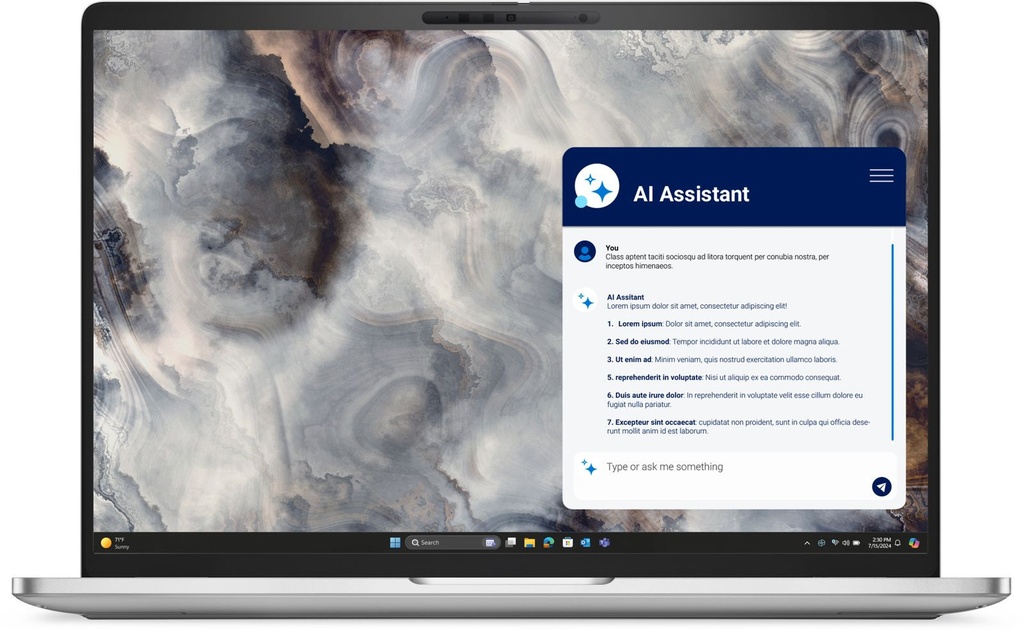 DELL PRO 16 PLUS PB16250