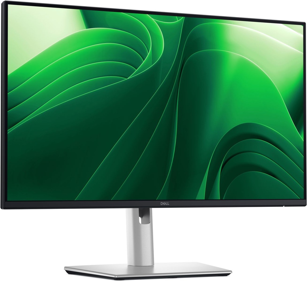DELL PRO 24 PLUS QHD USBC P2425DE
