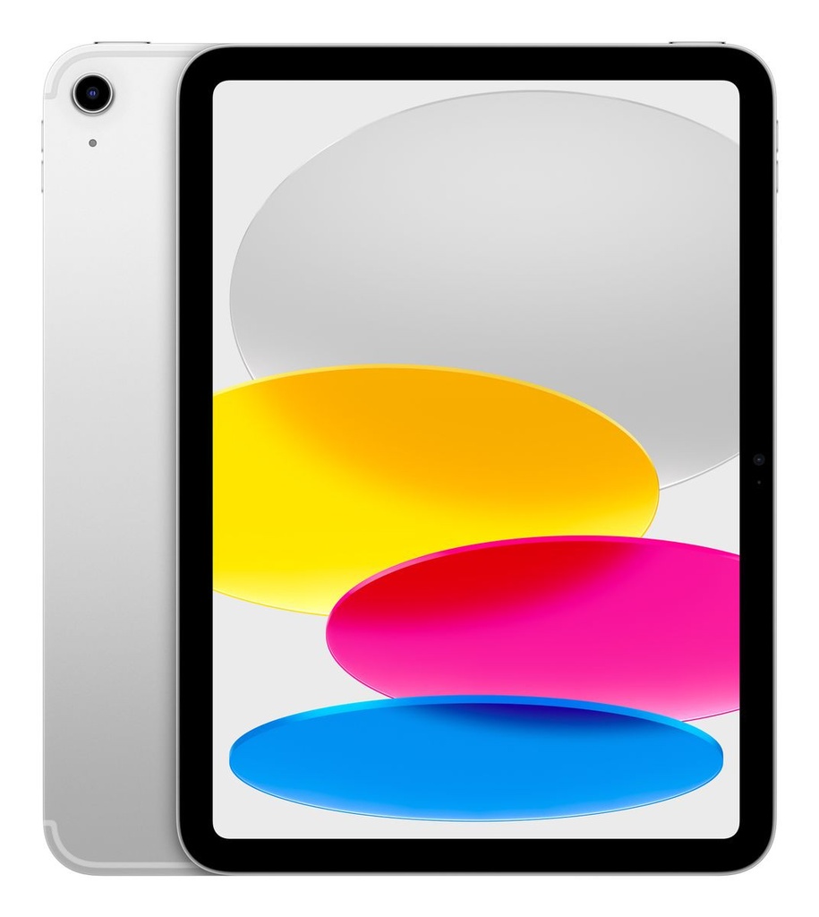 IPAD WF CL 256GB SLV
