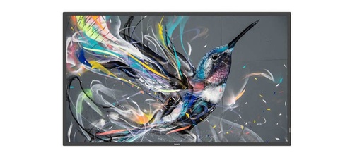 [43BDL3511Q00] MONITOR 43 Q-LINE 18/7 4K