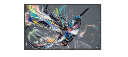 [65BDL3511Q00] MONITOR 65 Q-LINE 18/7 4K