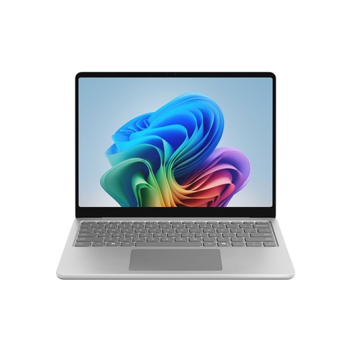[EP2-31343] LAPTOP13IN C8/24/1TB PLAT